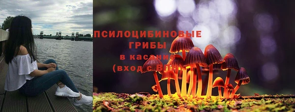 метадон Армянск