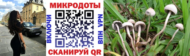 Галлюциногенные грибы Psilocybine cubensis KRAKEN рабочий сайт Уржум купить наркоту